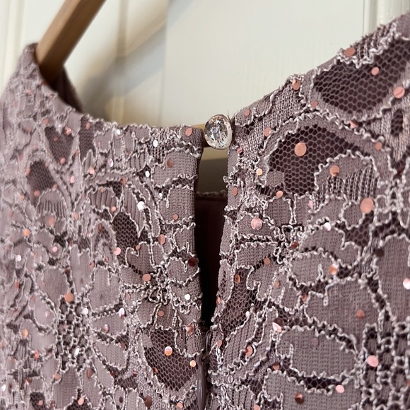 LAURA Lace & Chiffon Pink Cocktail Dress-Petites 8 - Picture 6 of 7